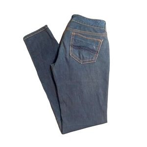 Indigo Rein Skinny Jeans